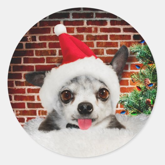 KERSTKAART ENVELOPE ZEGEL STICKERS CHIHUAHUA (Voorkant)