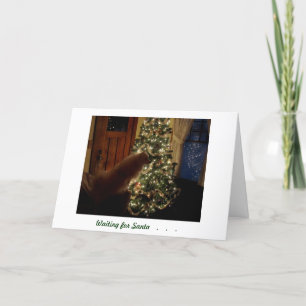 Kerstkaart Feestdagen Kaart