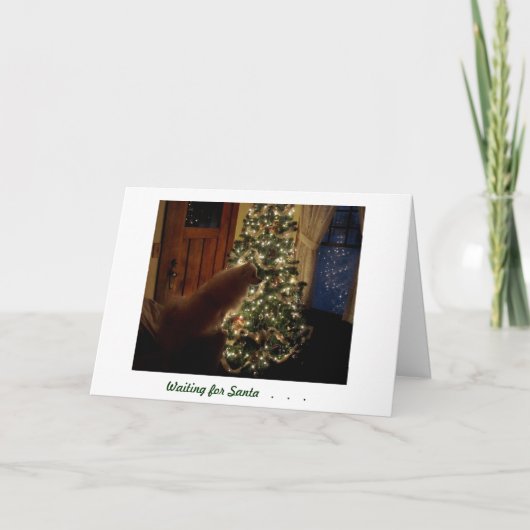 Kerstkaart Feestdagen Kaart (Voorkant)