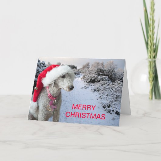 Kerstkaart Feestdagen Kaart (Voorkant)