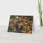 kerstkaart feestdagen kaart (Voorkant)