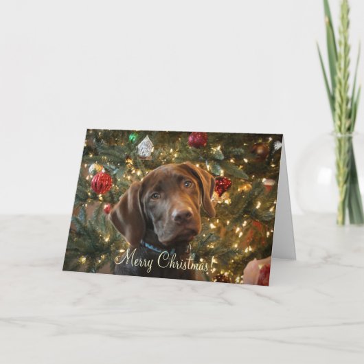 kerstkaart feestdagen kaart (Voorkant)