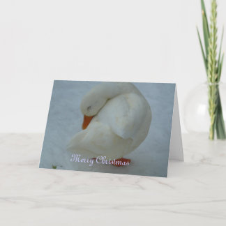 kerstkaart feestdagen kaart