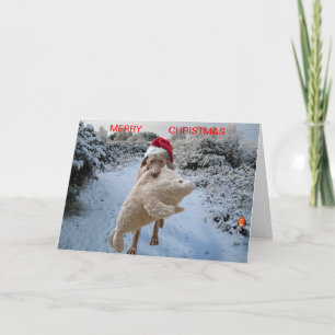 Kerstkaart Feestdagen Kaart