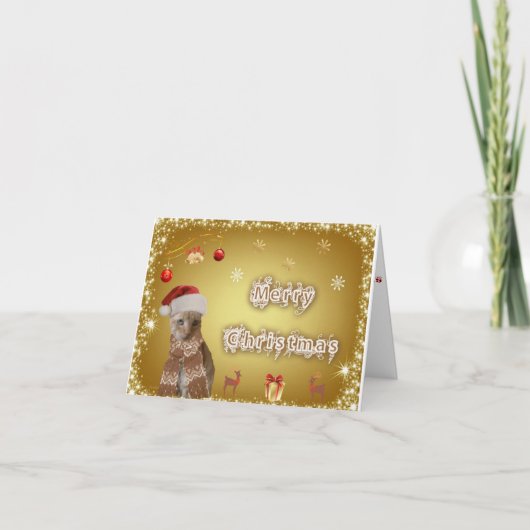 kerstkaart feestdagen kaart (Voorkant)