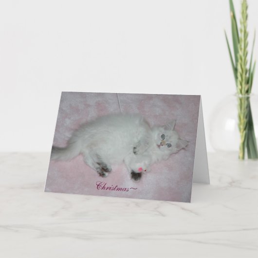 Kerstkaart Feestdagen Kaart (Voorkant)