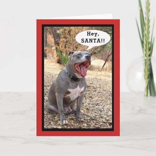 Kerstkaart Feestdagen Kaart (Voorkant)