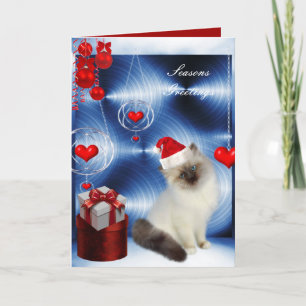 Kerstkaart Fluffy Witte Grijze Kat Feestdagen Kaart