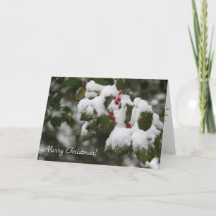 kerstkaart, fotografie van Holly met sneeuw Feestdagen Kaart