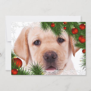 Kerstkaart gele labrador - Cute hond puppy Labrado