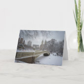 Kerstkaart - het Central Park van de Brug van de Feestdagen Kaart (Achterkant)