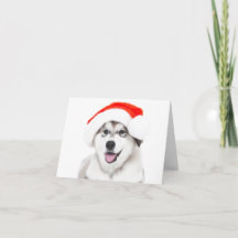KERSTKAART HUSKY PUPPY MET EEN SANTA HOED
