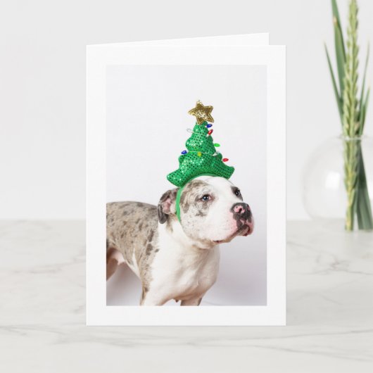 kerstkaart kaart (Voorkant)