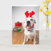 Kerstkaart Kaart (Gele Bloem)