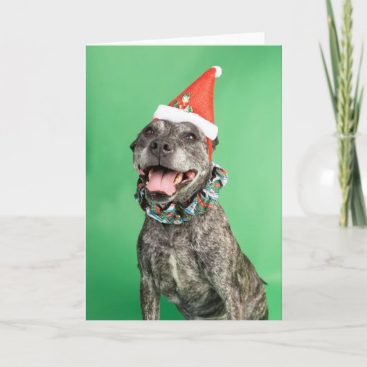 Kerstkaart Kaart (Voorkant)