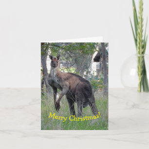 Kerstkaart - Kangoeroe Kaart