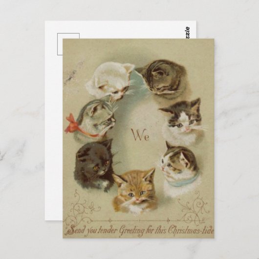 Kerstkaart Katten Briefkaart (Voorkant / Achterkant)