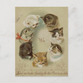 Kerstkaart Katten Briefkaart (Voorkant)