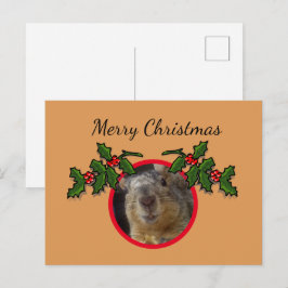 Kerstkaart - kerstgroet eekhoorn briefkaart