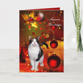 Kerstkaart Kerstkat Feestdagen Kaart