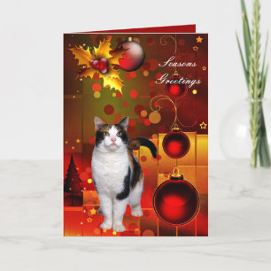 Kerstkaart Kerstkat Feestdagen Kaart