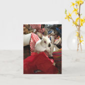 Kerstkaart, Kerstkonijn Vreugde Warboel Kaart (Gele Bloem)