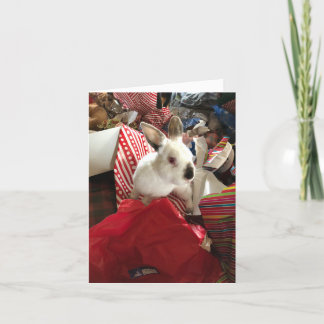 Kerstkaart, Kerstkonijn Vreugde Warboel Kaart