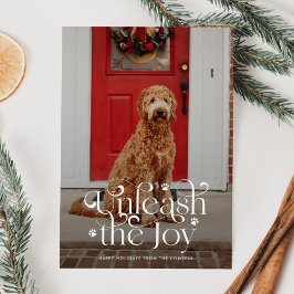 Kerstkaart 'Laat de vreugde los' huisdierenfoto
