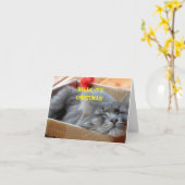 Kerstkaart - Merlin the Cat Snoozing Kaart (Gele Bloem)