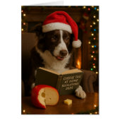 Kerstkaart met Border Collie 'Kaasbelasting' (Voorkant)
