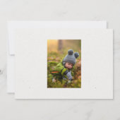 Kerstkaart met bosfoto kaart (Achterkant)