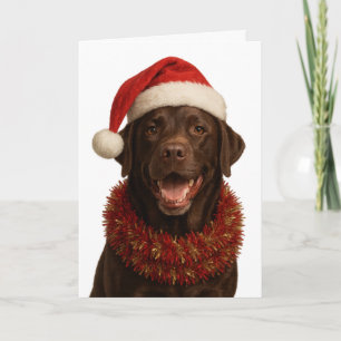 Kerstkaart met chocolade labrador retriever hond kaart