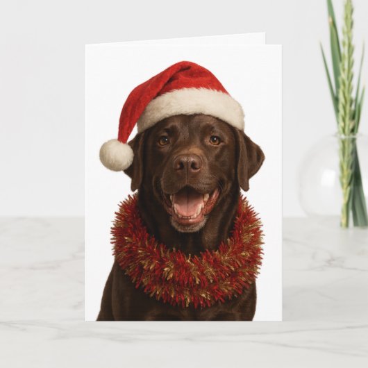 Kerstkaart met chocolade labrador retriever hond kaart (Voorkant)