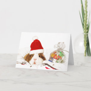 KERSTKAART MET CUIZENDIEF MET SANTA HOED KAART