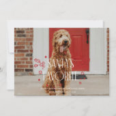 Kerstkaart met de favoriete grappige huisdier foto kaart (Voorkant)