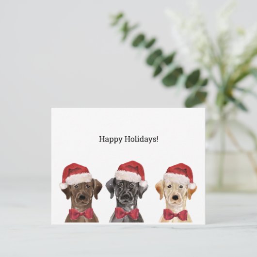 KerstKaart met drie labrador Briefkaart (Staand voorkant)