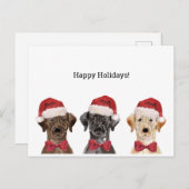 KerstKaart met drie labrador Briefkaart (Voorkant / Achterkant)