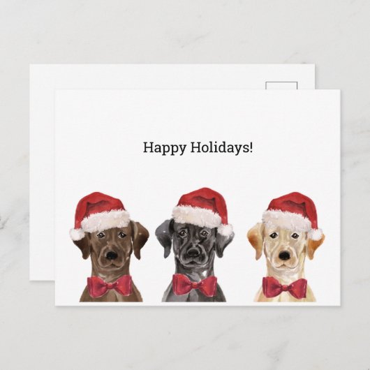 KerstKaart met drie labrador Briefkaart (Voorkant / Achterkant)