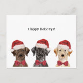 KerstKaart met drie labrador Briefkaart (Voorkant)