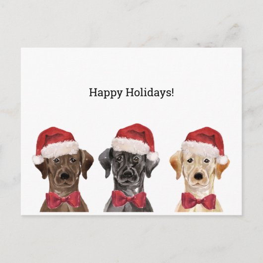 KerstKaart met drie labrador Briefkaart (Voorkant)