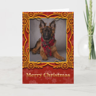 Kerstkaart met Duitse herder. Feestdagen Kaart