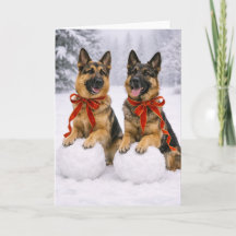 Kerstkaart met Duitse herder