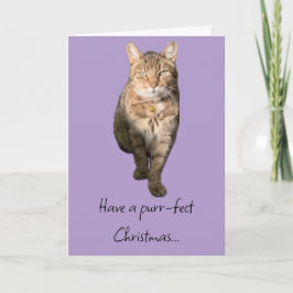 Kerstkaart met een charmante tabby kat bedankkaart