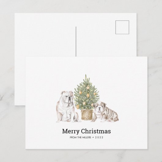 KerstKaart met Engelse Bulldog Familie Briefkaart (Voorkant / Achterkant)