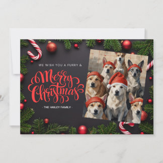 Kerstkaart met feestelijke huisdierfoto