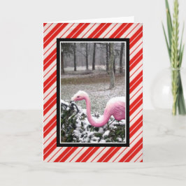 Kerstkaart met Flamingo Feestdagen Kaart