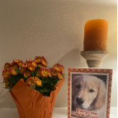 Kerstkaart met Gouden Retriever-hond en Thanksgivi Kaart