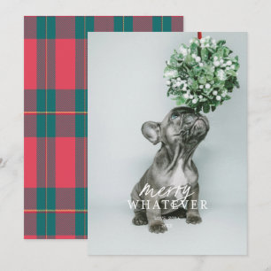 Kerstkaart met grappige huisdier foto kaart