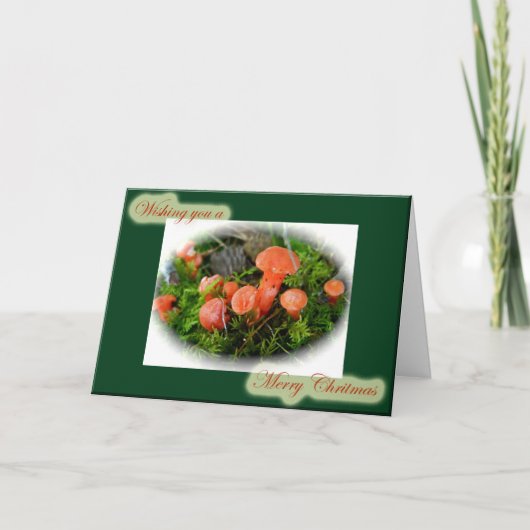 Kerstkaart met heldere paddenstoelen feestdagen kaart (Voorkant)