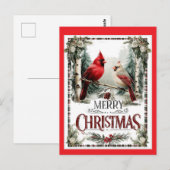 Kerstkaart met Kardinaal Illustratie Briefkaart (Voorkant / Achterkant)